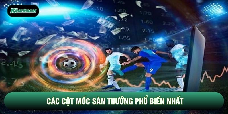 Các cột mốc săn thưởng phổ biến nhất Các cột mốc săn thưởng phổ biến nhất