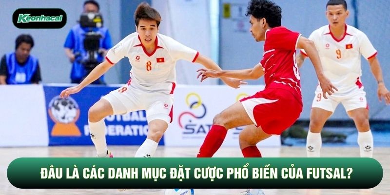 Đâu là các danh mục đặt cược phổ biến của futsal?