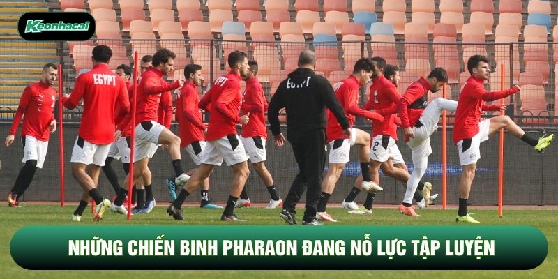 Những chiến binh Pharaon đang nỗ lực tập luyện