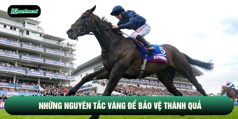 Những nguyên tắc vàng để bảo vệ thành quả