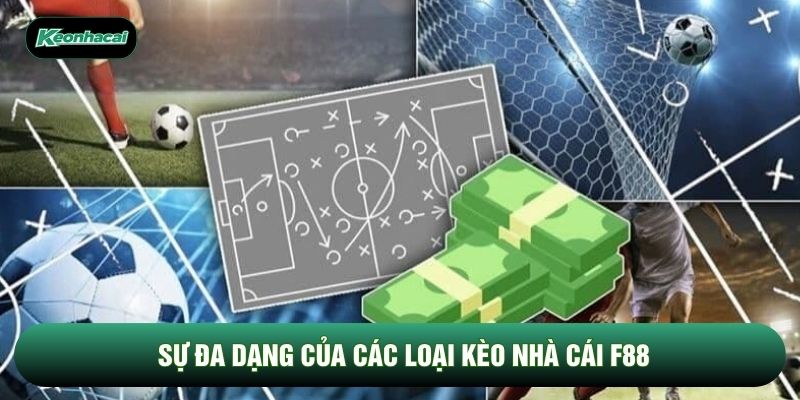 Sự đa dạng của các loại kèo nhà cái F88 Sự đa dạng của các loại kèo nhà cái F88