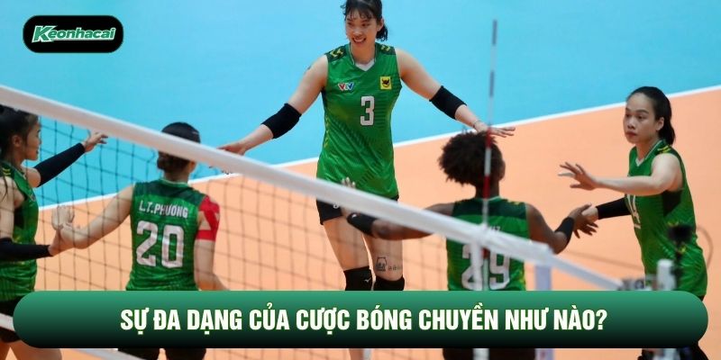 Sự đa dạng của cược bóng chuyền như nào? Sự đa dạng của cược bóng chuyền như nào?